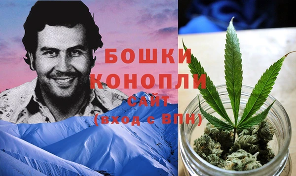 прущие крисы Аркадак